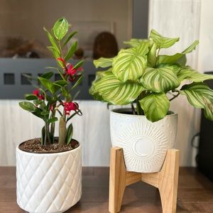 Meet your Posher, Regina